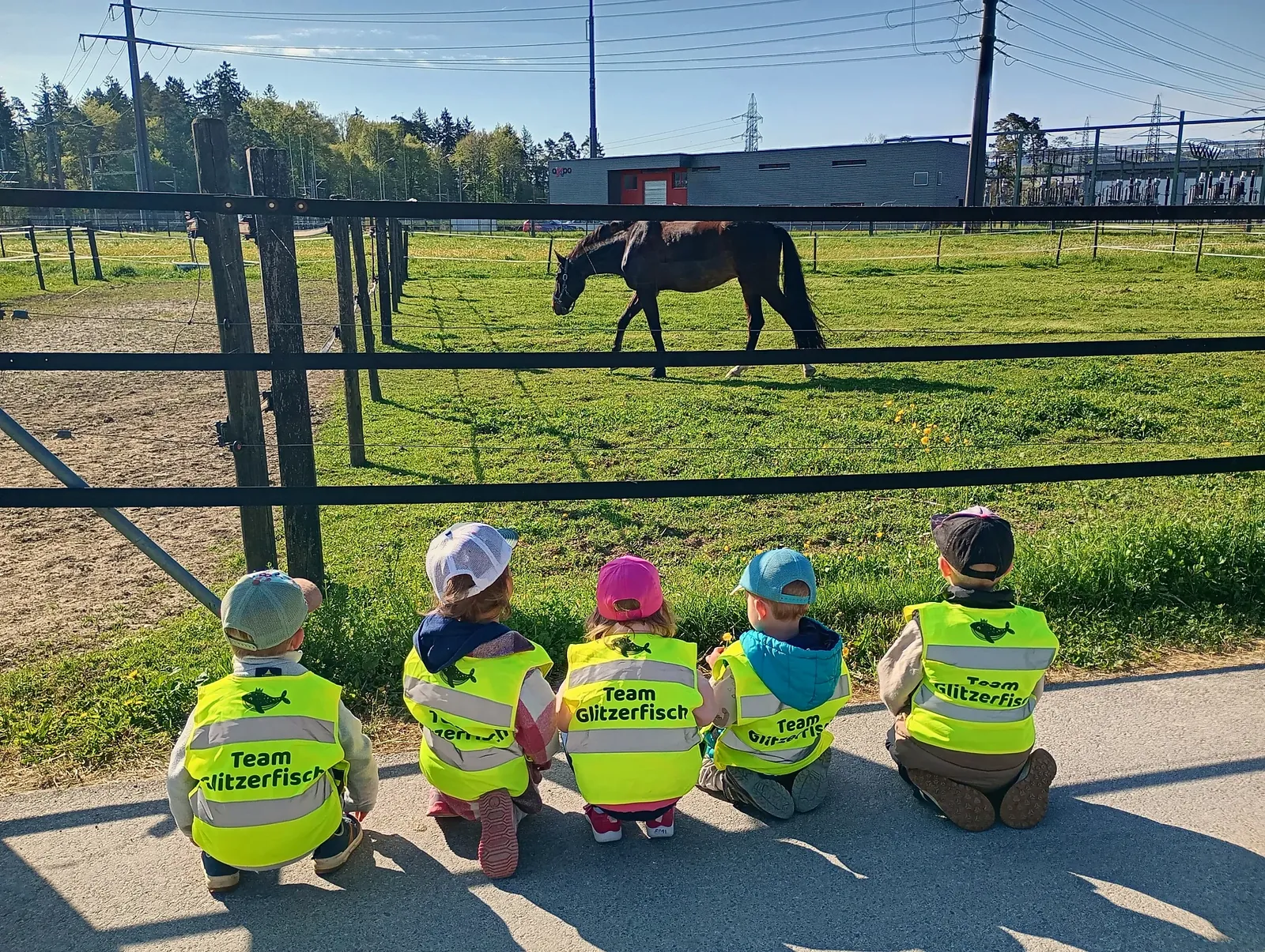 Fünf Kinder schauen einem Pferd auf der Weide zu