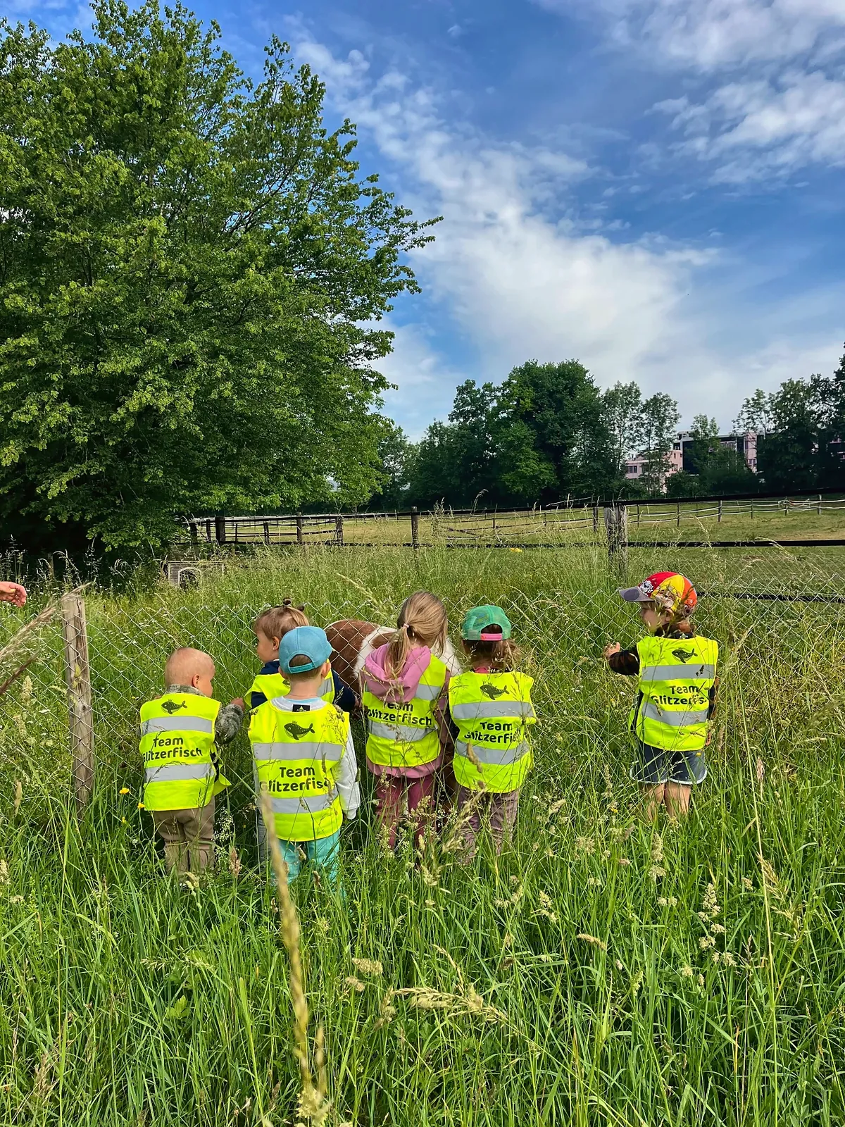 Kinder stehen am Zaun beim Pony in der Wiese