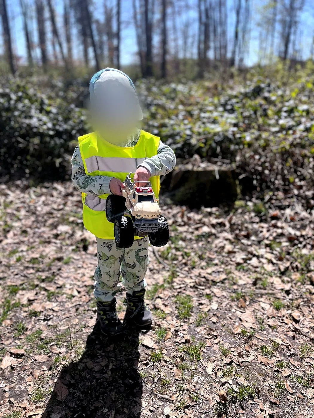 Entdecken im Wald