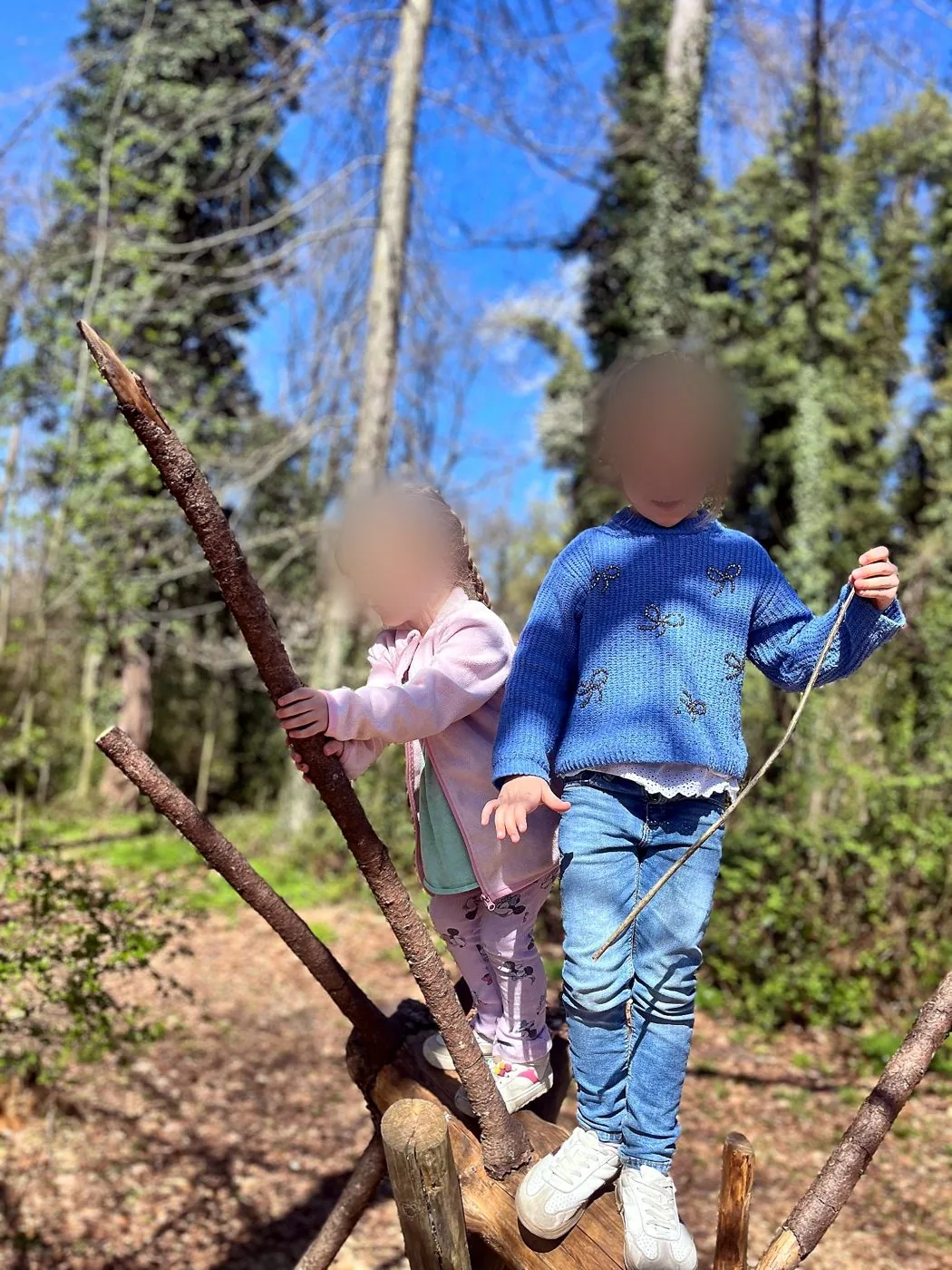 Balancieren im Wald